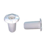 سرجت استخری